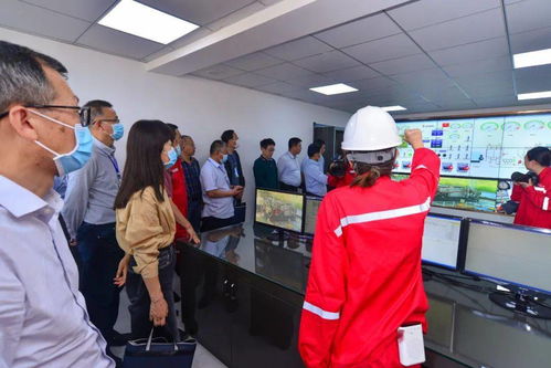 集團公司2021年度技術專家咨詢會診活動圓滿結束